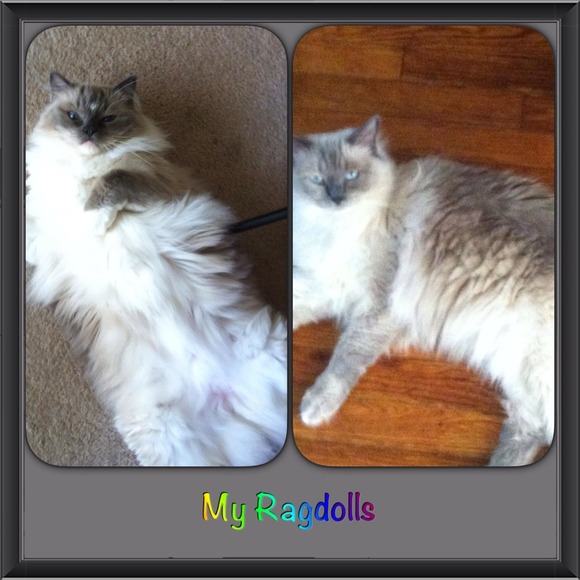 Meet your buyer/seller - Picture 2 of 4