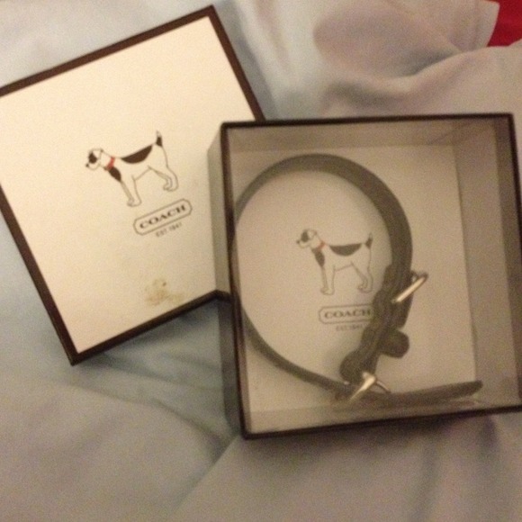 Authentic Coach XS Dog Collar