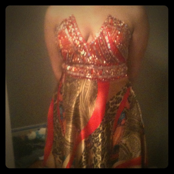 Riva Designs ball gown or prom dress.