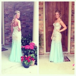Terrani Couture mermaid style prom dress :)