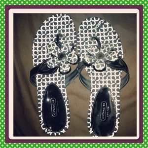 Coach shoes
