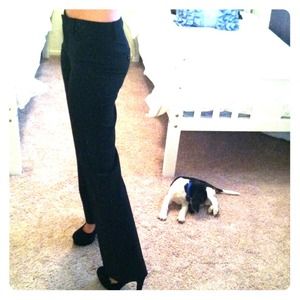 Express Editor Black Dress Pant & turqouise earing