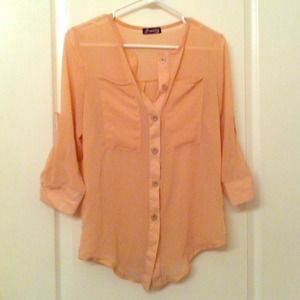 Nude Chiffon Button-Up Blouse