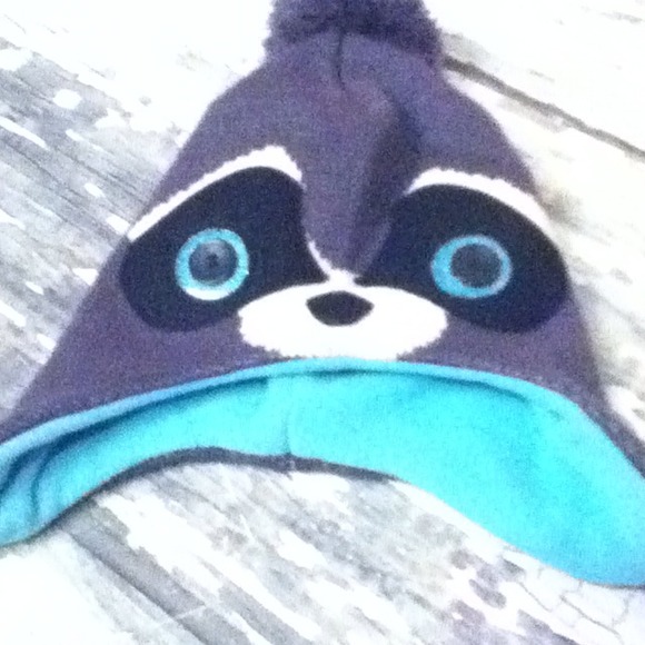 Raccoon hat - Picture 1 of 2