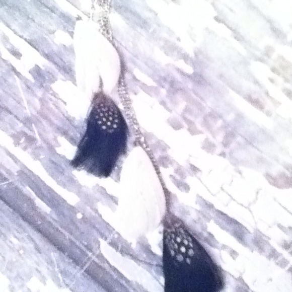 Hair feather - Picture 1 of 1