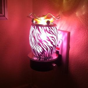 Plug in warmer from candazzle