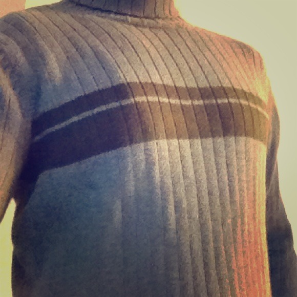 Blue and navy turtle neck sweater.