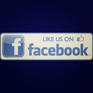 Keep up with our new arrivals!