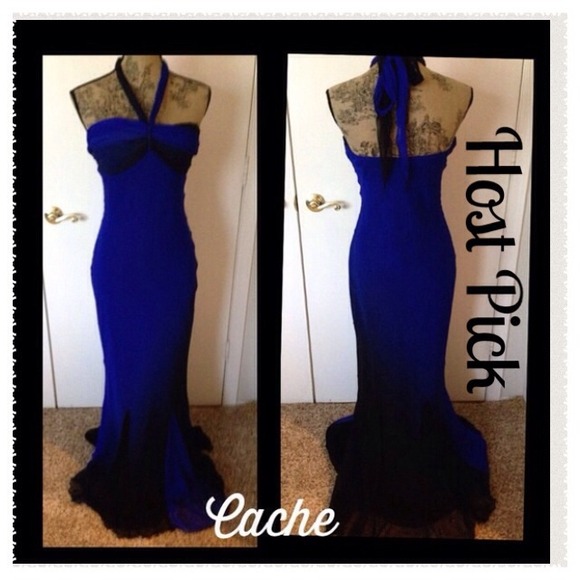 cache Dresses & Skirts - 🎉Host Pick 11/9🎉