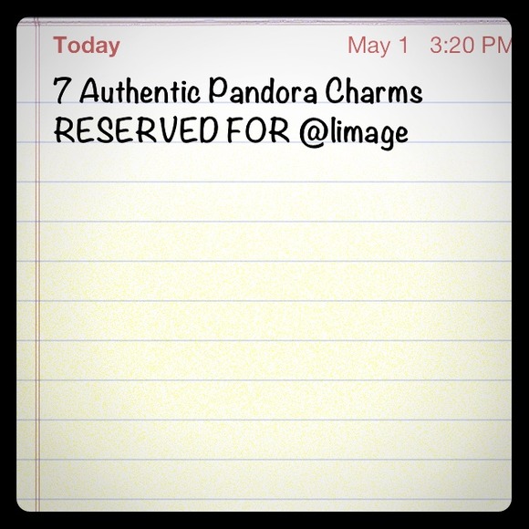 Pandora Charm Bundle