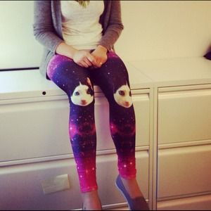 Sickest cat pants in the world