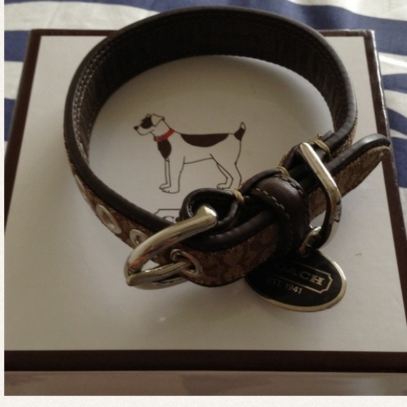Coach dog collar