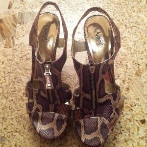 Beautiful Snake skin