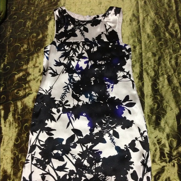 NWT silk Theory dress.
