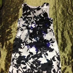 NWT silk Theory dress.