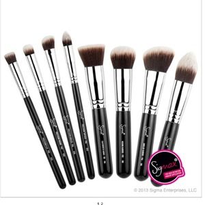 NEED SIGMA BRUSH KIT