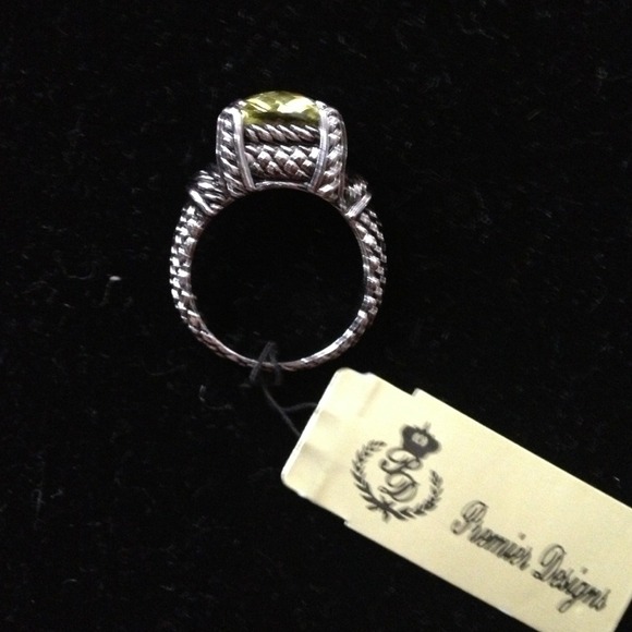 Sterling Silver Premier Designs Retired Jewelry List 2014 Premier