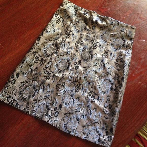 Beautiful Gray Metallic Lace Floral Inlay Skirt