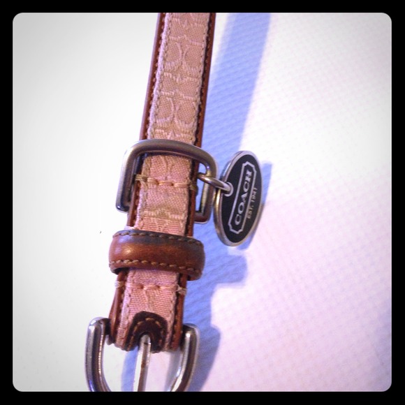 Coach Dog Collar