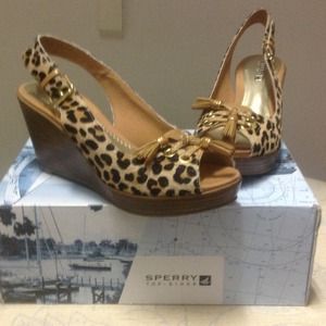 Cute!Cute!Cute Sperry Shoes