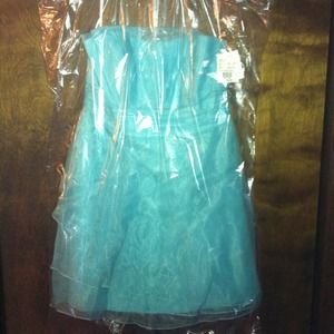 GREAT 4 PROM never worn David's Bridal short dress