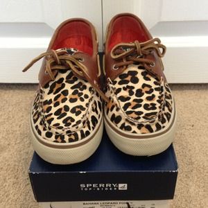 Leopard Sperry's