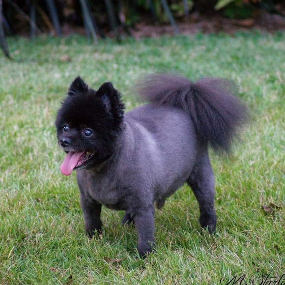 Meet your seller!!! - Picture 2 of 8