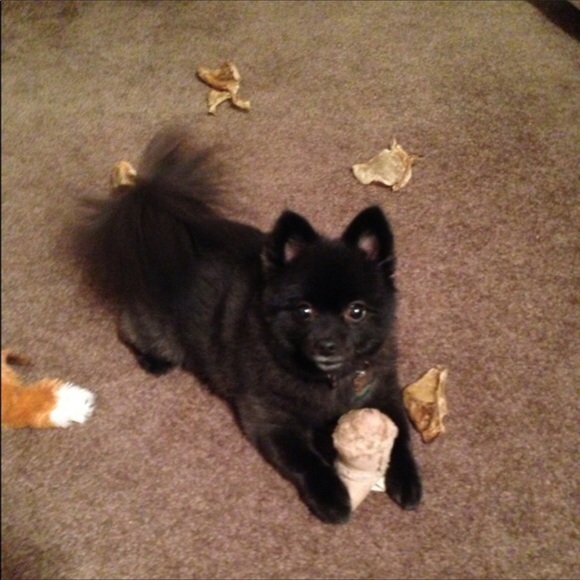 Meet your seller!!! - Picture 5 of 8