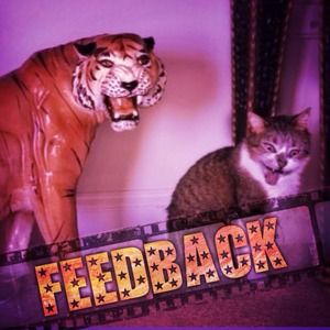 Feedback//Questions or Concerns