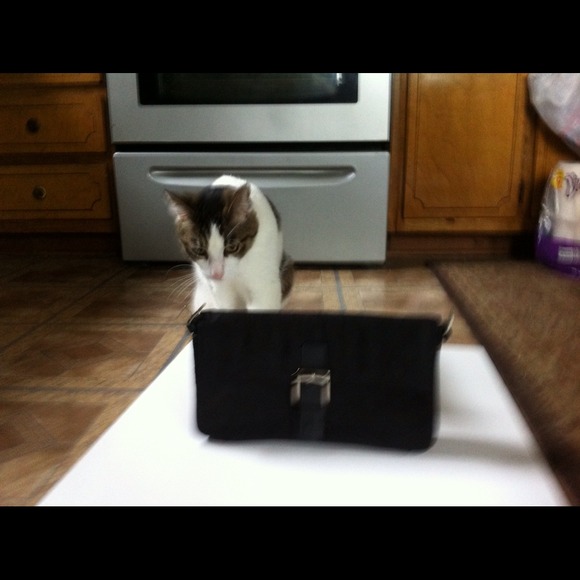 Black Evening Coach Bag Purse  (kitty not incl)