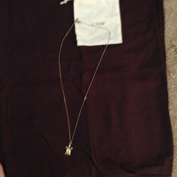 Turtle Jcrew necklace