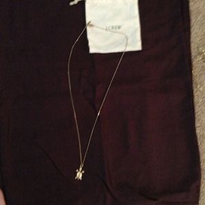 Turtle Jcrew necklace
