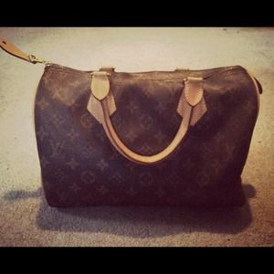 Louis Vuitton Inspired Bag