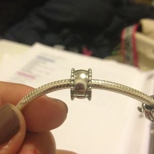Pandora charms