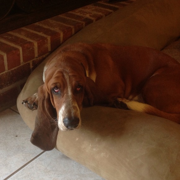 Murphy and I are so glad it's Friday!!!!!!
