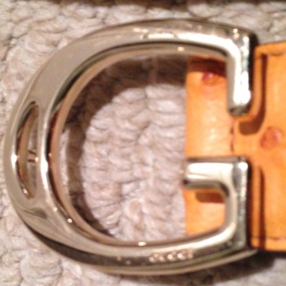 ?Authentic Gucci Belt