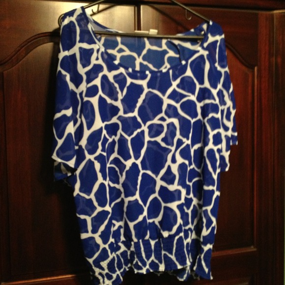 Cato Sheer Blouse