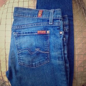 7 for All Mankind Roxanne Skinny Jeans