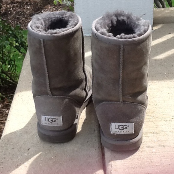 Classic Grey short uggs, size 6
