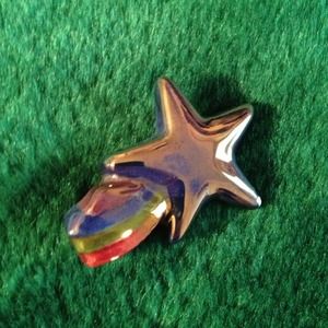 Ceramic star pin