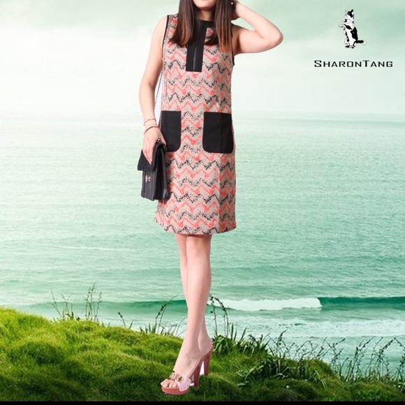 💋Host's Pick💋.  Sharon Tang Chevron dress.