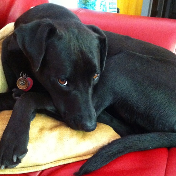 Welcome to my closet 💜 formerly sheridan109 - Picture 4 of 4