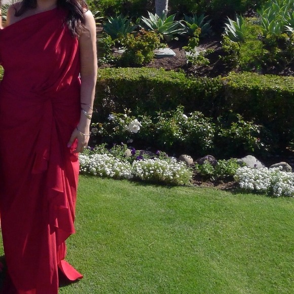 Tadashi 1 Shoulder Chiffon Gown Cherry Size 14