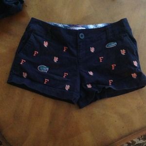Adorable Florida gator, UF shorts.  Navy
