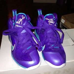 Lebron 9s Summit Lake Hornets size 8.5 reserved