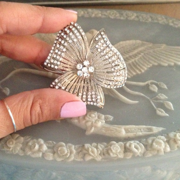 Gorgeous broach