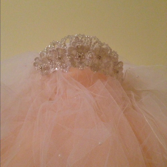 Bridal veil!!!!! Reduced