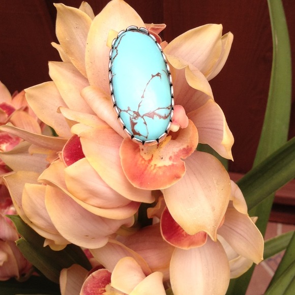 Beautiful Turquoise Silver Ring NWOT