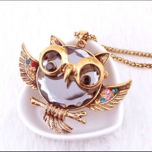 ❌Sold❌💎💎 owl necklace💎💎