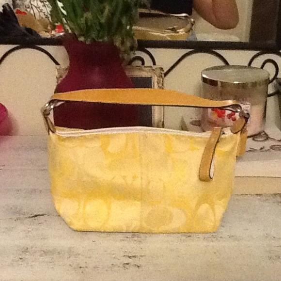 REDUCED! Spring Collection Signature C Purse